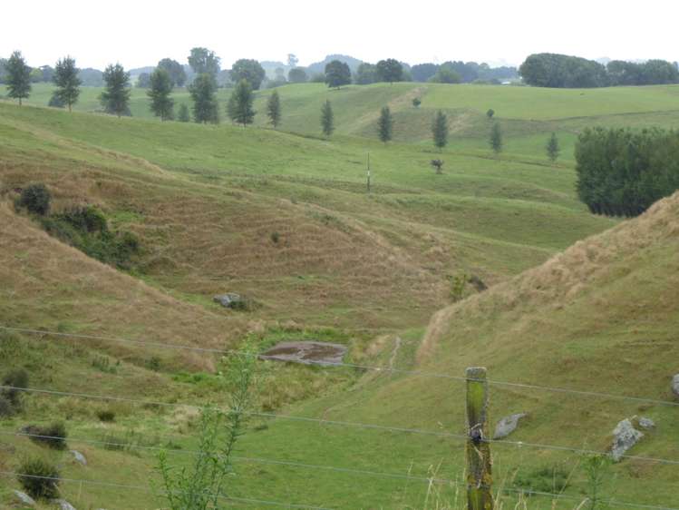 411 Waotu Road Putaruru_10