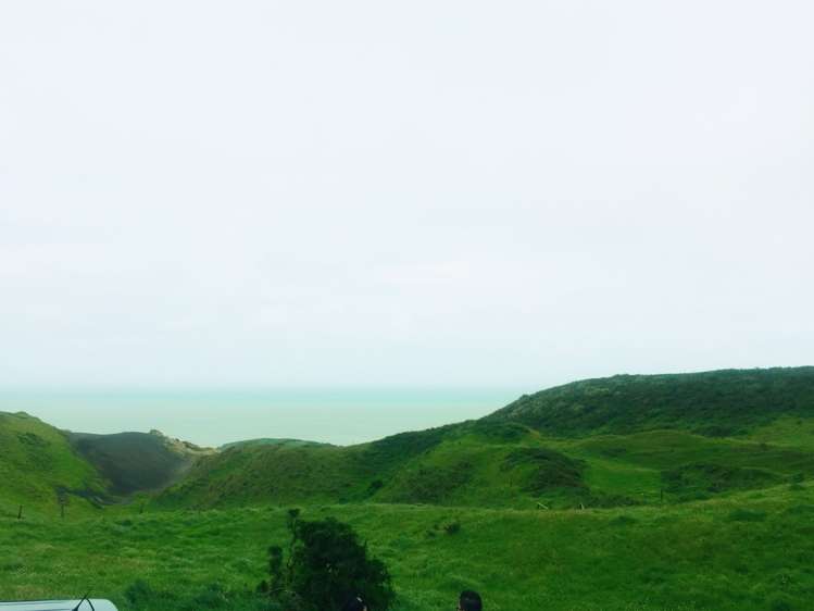 603 Whiriwhiri Road Otaua_6