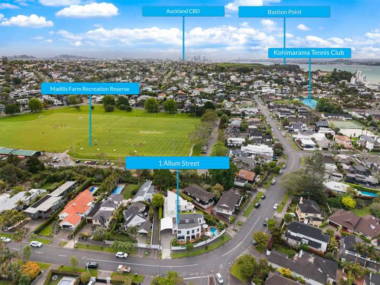 1 Allum Street Kohimarama_41