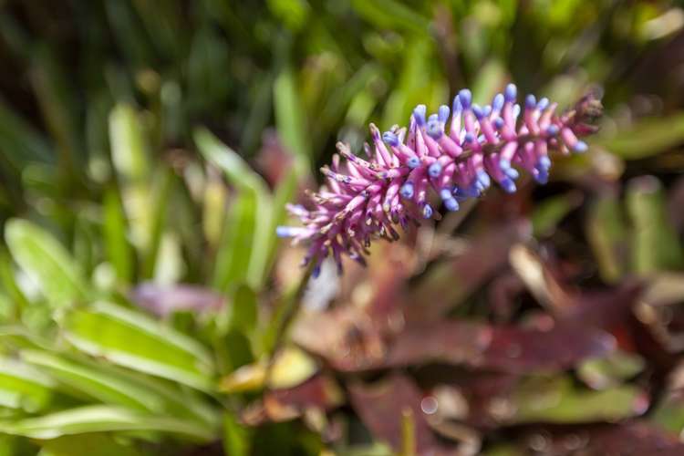 49 Andrew Street Waikanae_22