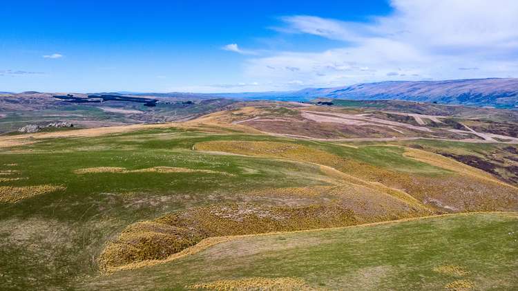 540 Four Mile Road Hyde_6