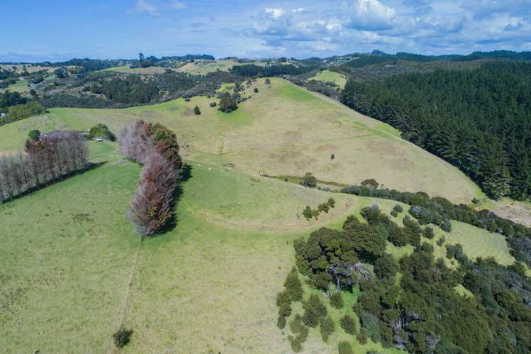 81 Pullman Lane (Pvt) Matapouri_22