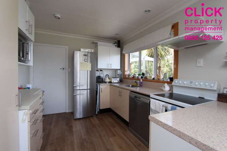 32 Dunrobin Street Waverley_6