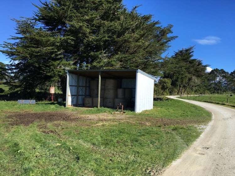 3280 Mountain Road Midhirst_5