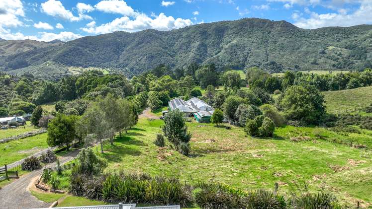 44 Packtrack Road Thames_21