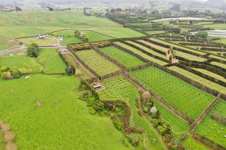 211 Pukekauri Road Waikino_16