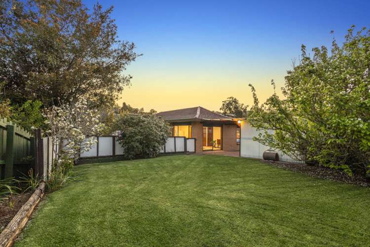 73 John Downs Drive Browns Bay_6