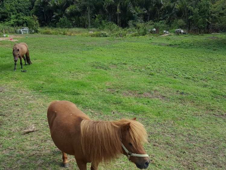 60 Sylvan Valley Avenue Titirangi_18