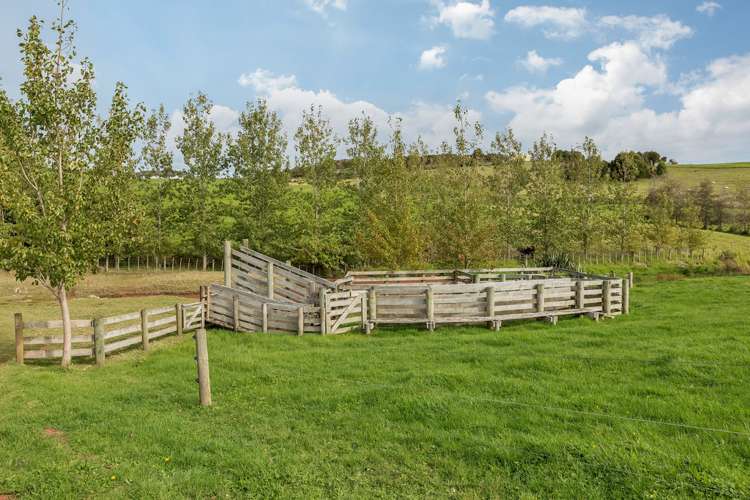 715 Three Mile Bush Road Ruatangata_5