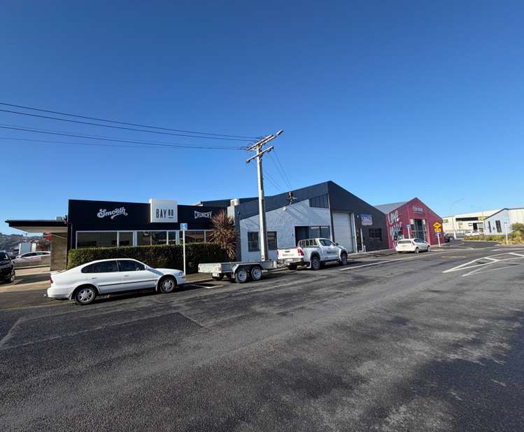 16 Roberts Street Dunedin Central_13
