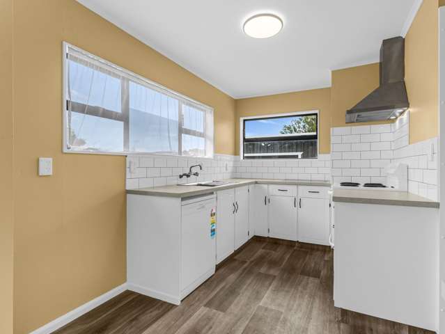 6 Geddis Ave Maraenui_4