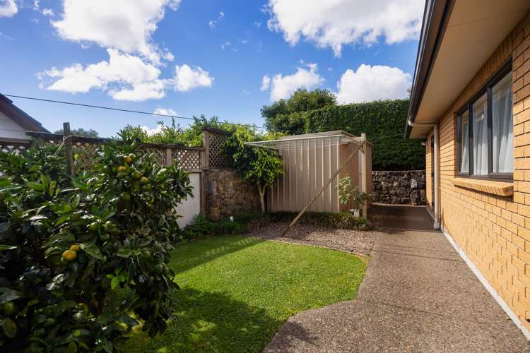9 Wesley Avenue Mount Albert_29