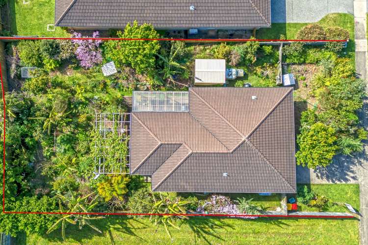 100 Greenhills Drive Coromandel_10