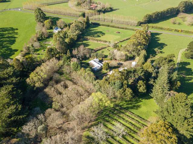 250 Upper Manaia Road Upper Plain_1