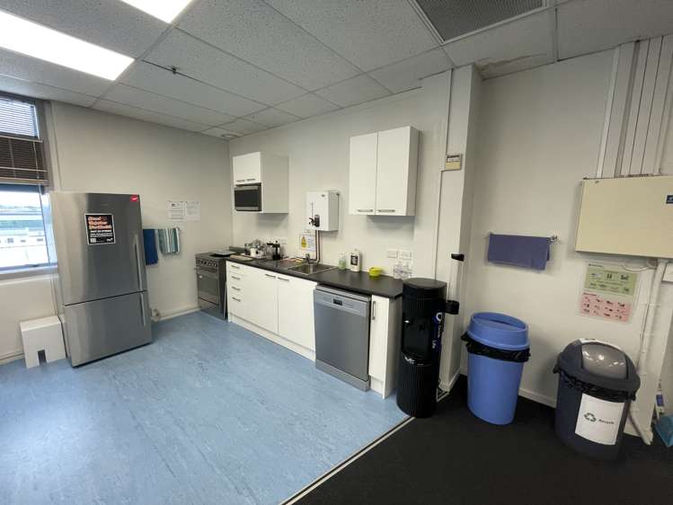 8 Virginia Avenue Eden Terrace_10