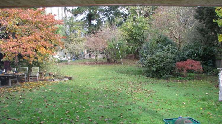 65 Buckleys Terrace Tinwald_2