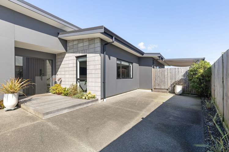 33 Sardinia Grove Fitzherbert_10