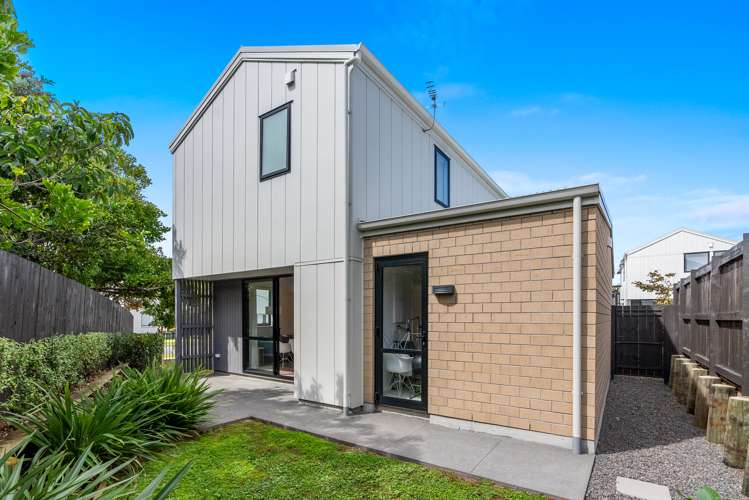 1 Ara Reti Mangere Bridge_14