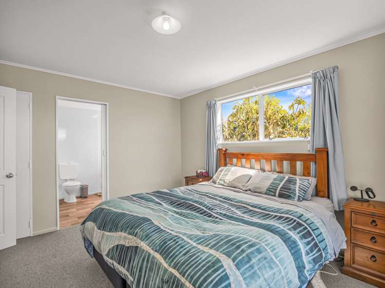 65 Nixon Street Tinwald_5