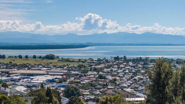 49A Chamberlain Street Tahunanui_2