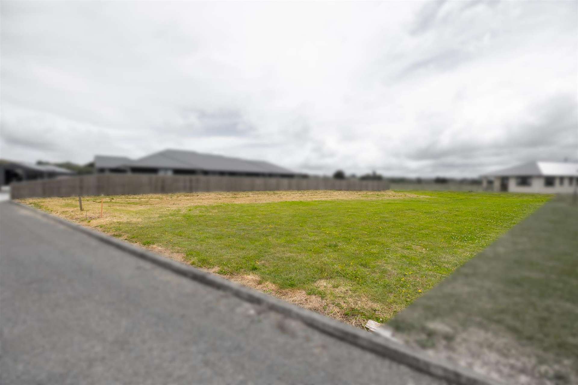 38 George Street Bulls_0