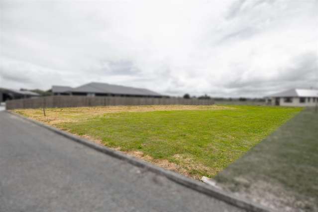 TEAM LEWIS - BULLS SECTION FOR SALE