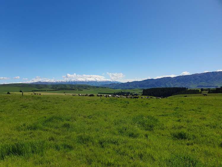 Lot 2 Cricklewood Rise Grants Road Kurow_7