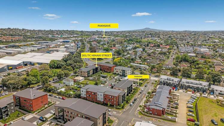 Hinaki Street Pt England_12