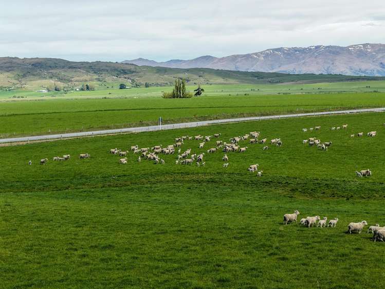 5582 Wedderburn-Becks Road and 755-971 Linnburn Runs Road Hills Creek_10