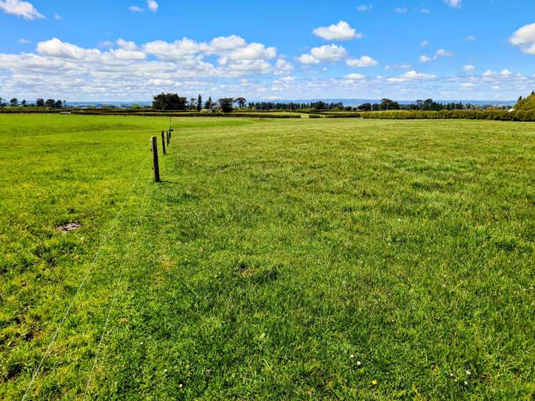 299 Cardiff Road Cardiff_22