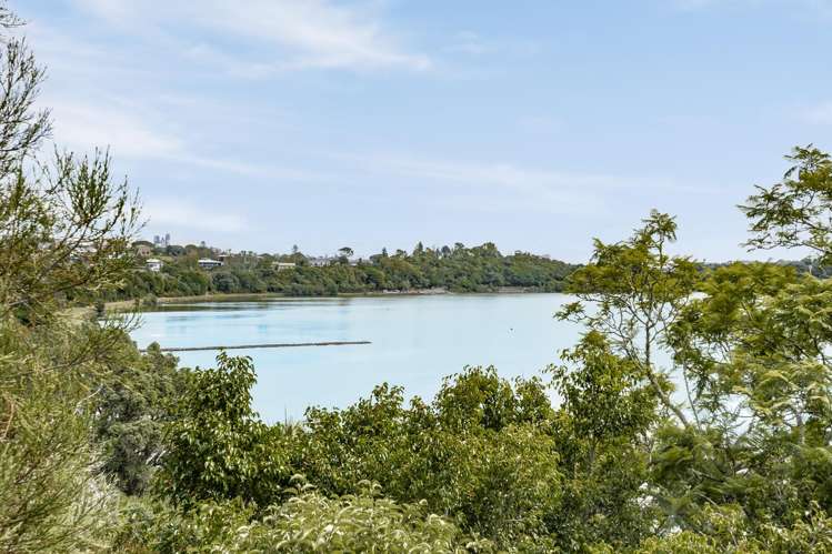 24 Darwin Lane Remuera_6