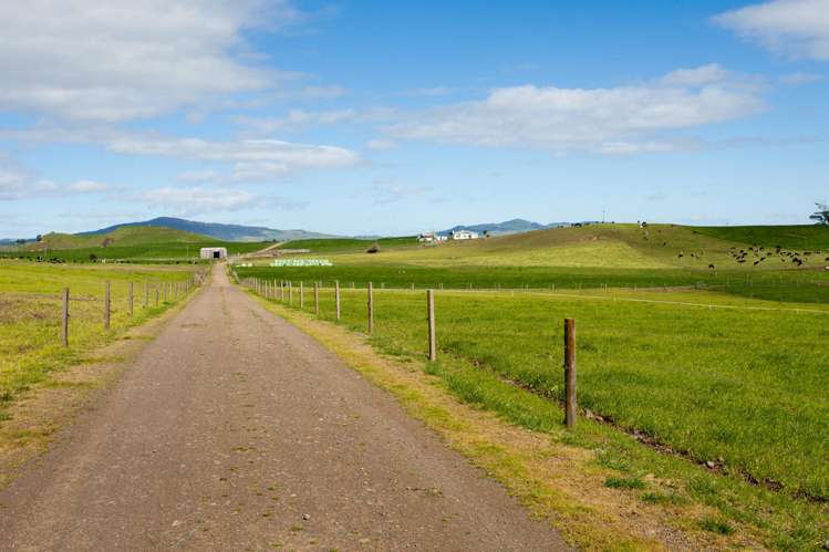 2175 Morrinsville-Walton Road Richmond Downs_9