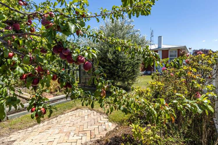 2/280 Scott Street Witherlea_13