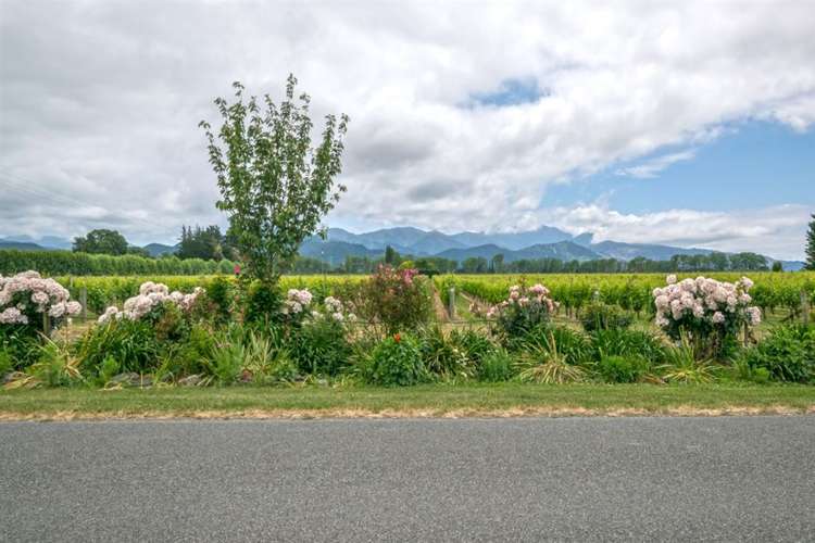 213 Chaytors Road Spring Creek_12