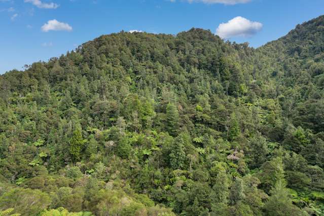 495 Kopu Hikuai SH 25A Thames-coromandel_4