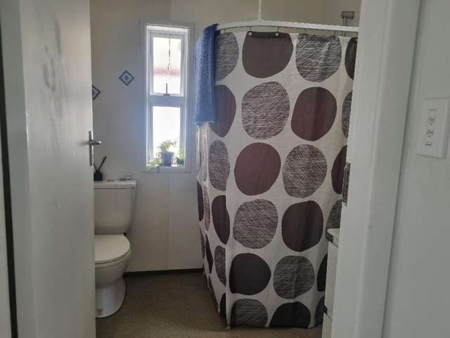 18 Tanekaha Drive Parihaka_4