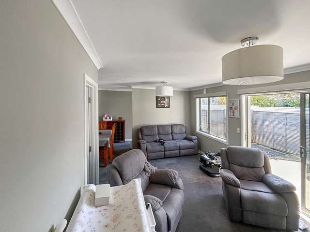 528a Featherston Street Roslyn_4