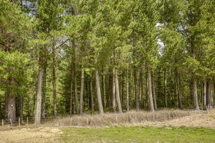 139 Clareinch Road Omakere_31