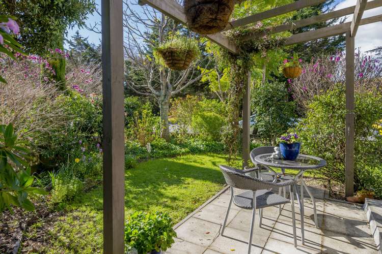 59a Park Avenue Waikanae_6