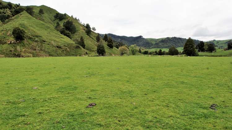 450 Ramaroa Road Aria_11