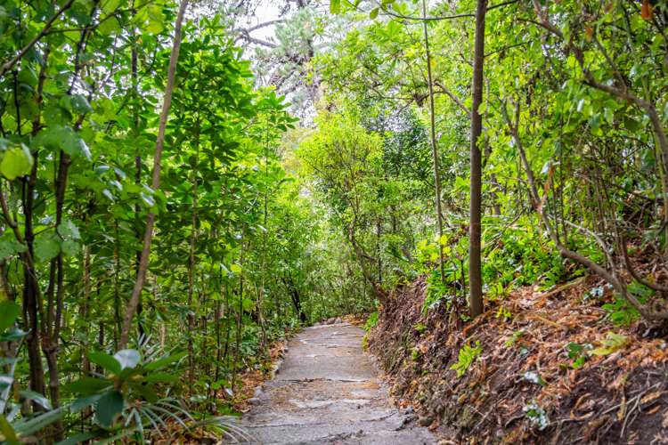 4 Park Road Belmont_33