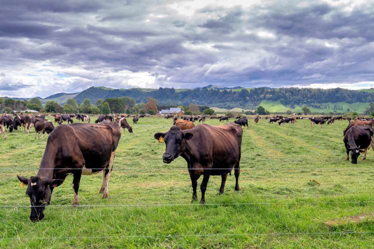 630 Otakiri Road Otakiri_3