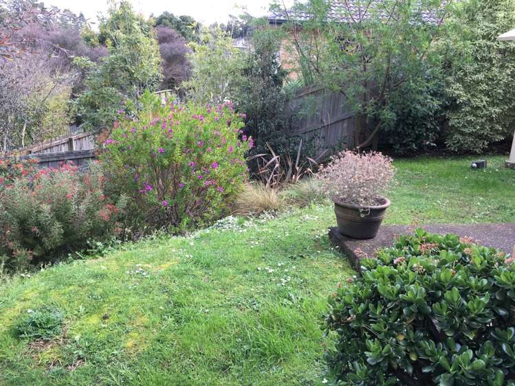 4 Montpellier Heights Arkles Bay_20