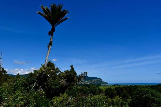 76 Eco Place (Wangapeka Rd) Little Wanganui_2