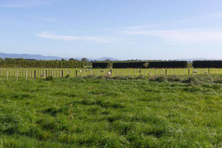 595 East Taratahi Road_3