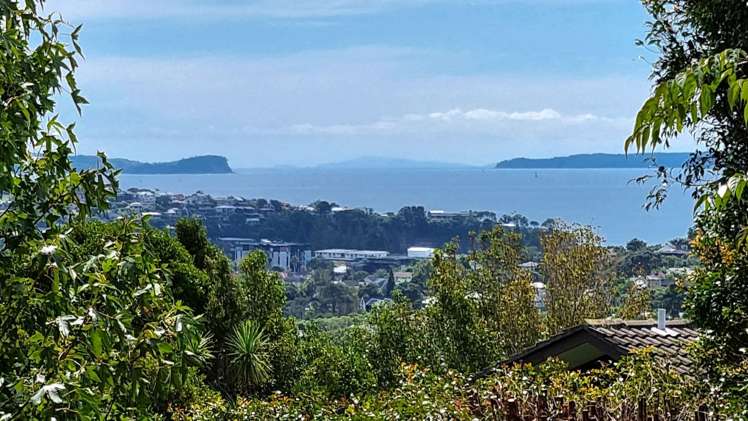 539a East Coast Road Browns Bay_22