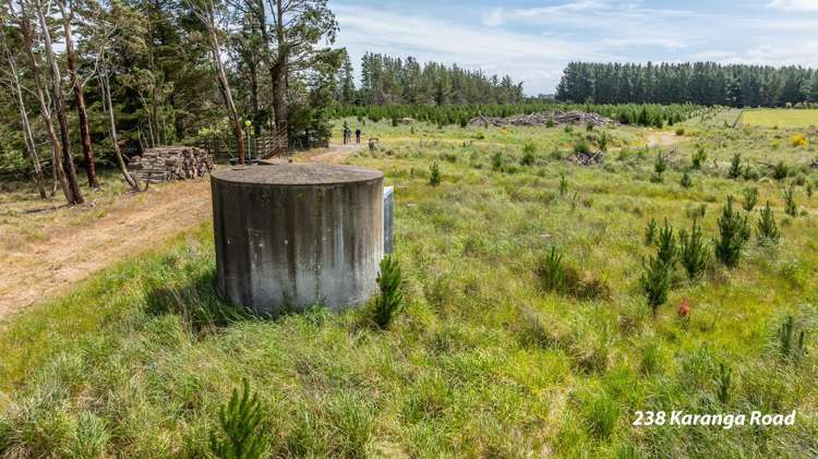 238 - 240 Karanga Road Dunsandel_6