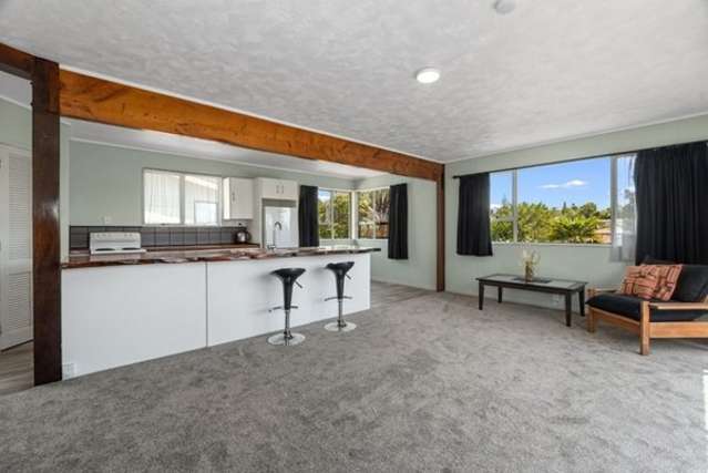 19 Heretaunga Street 2033_1