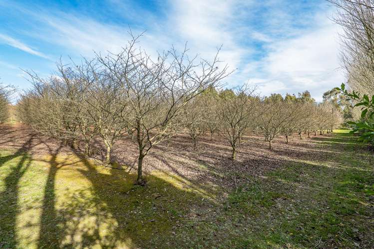 299 Elmhurst Road Darfield_22