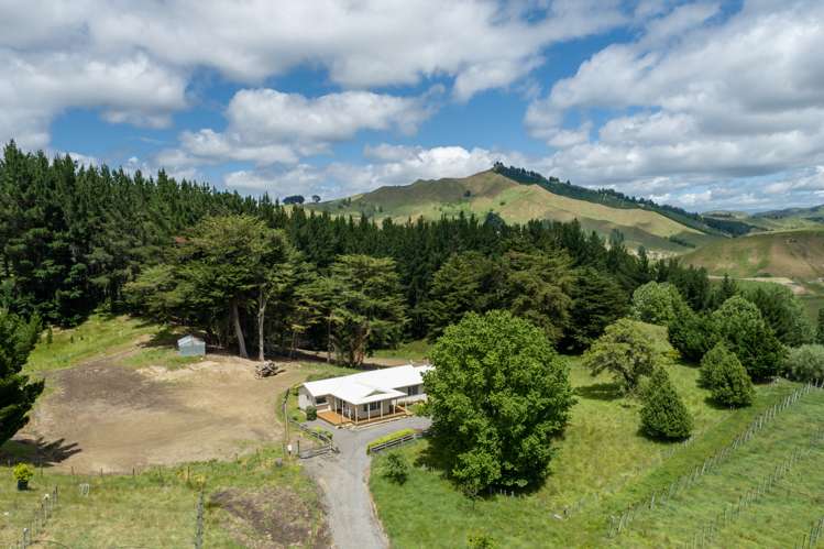 2069 Kahuranaki Road Elsthorpe_17
